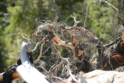 DSC_0210 (Large).JPG